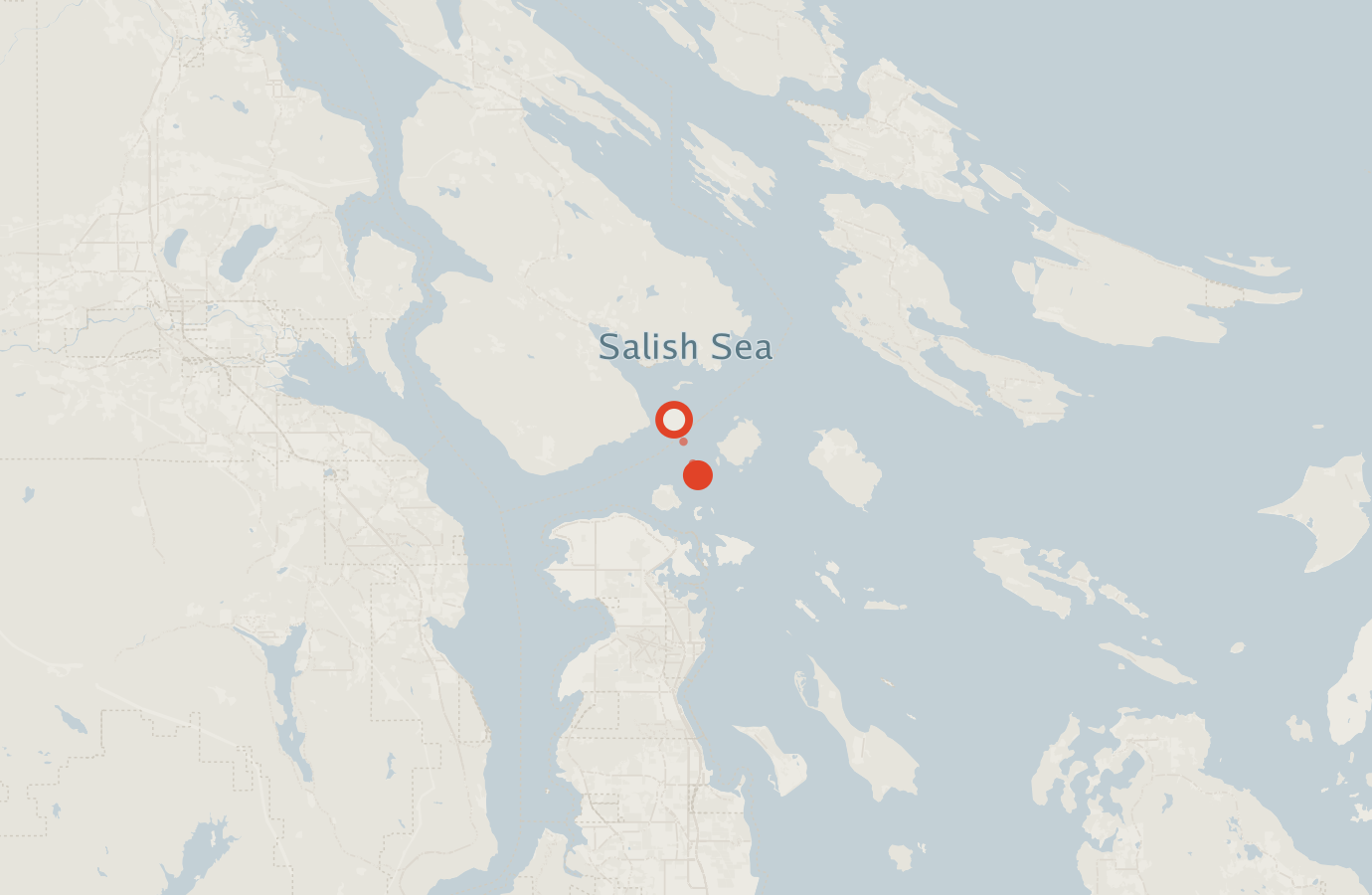 Activity map — real sighting points on an OpenStreetMap basemap