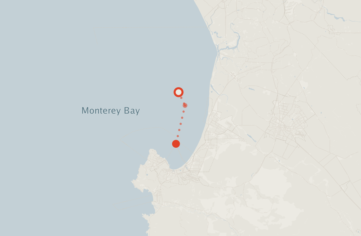 Activity map — real sighting points on an OpenStreetMap basemap
