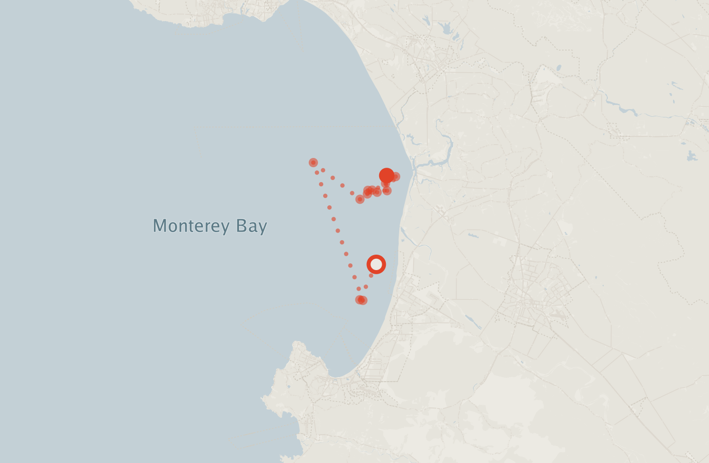Activity map — real sighting points on an OpenStreetMap basemap