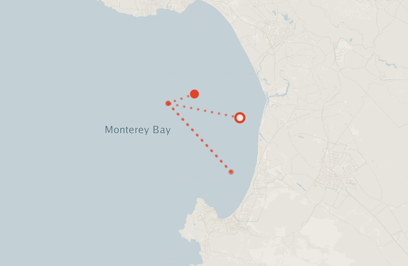 Activity map — real sighting points on an OpenStreetMap basemap