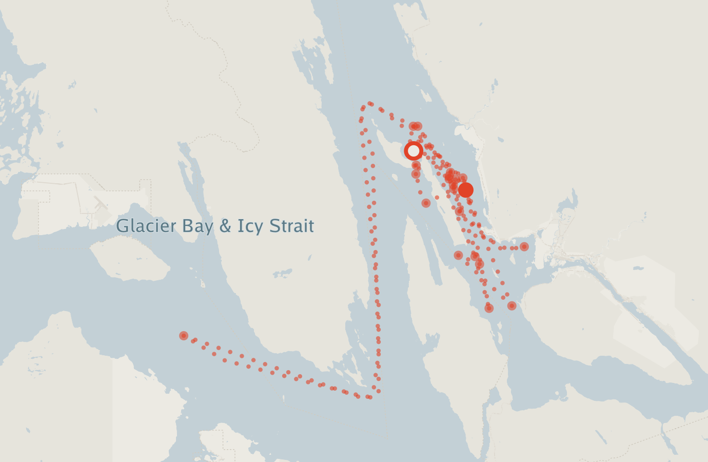Activity map — real sighting points on an OpenStreetMap basemap