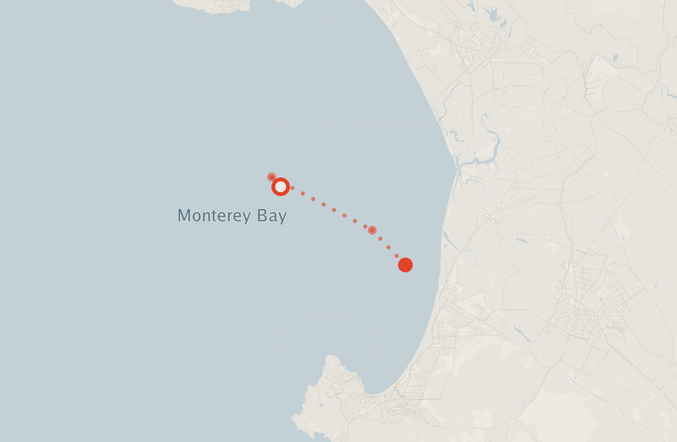 Activity map — real sighting points on an OpenStreetMap basemap