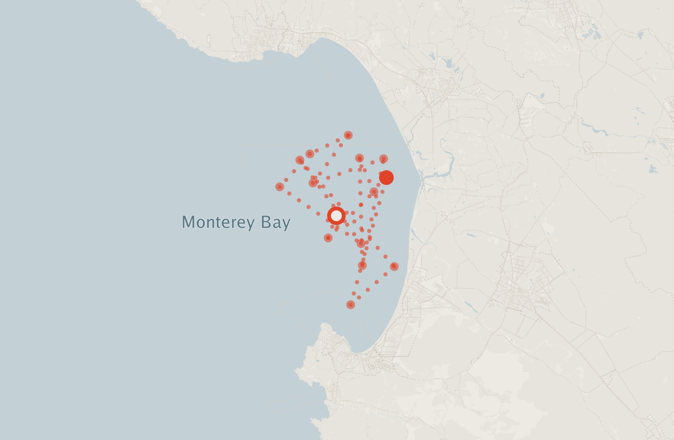 Activity map — real sighting points on an OpenStreetMap basemap