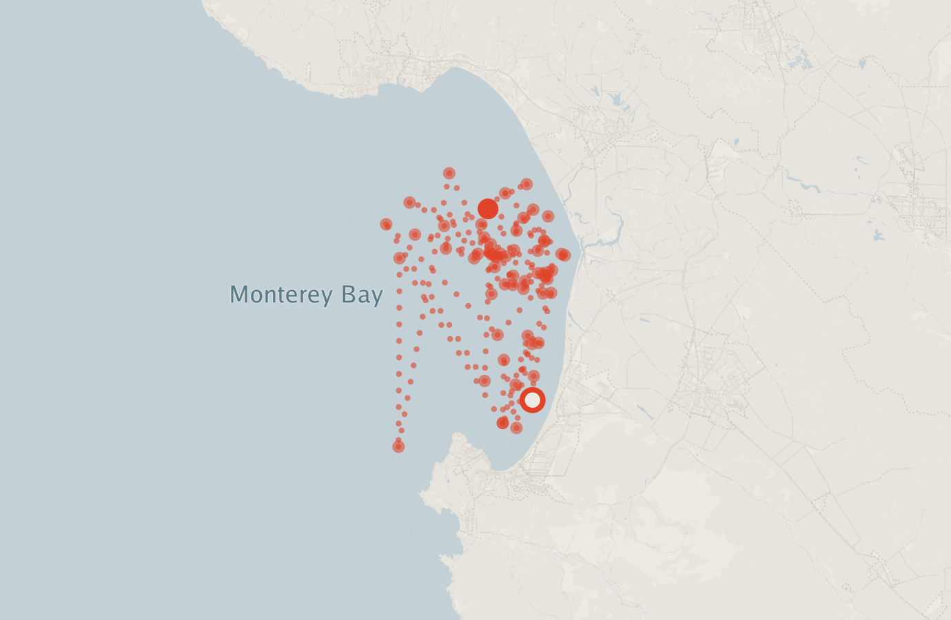Activity map — real sighting points on an OpenStreetMap basemap