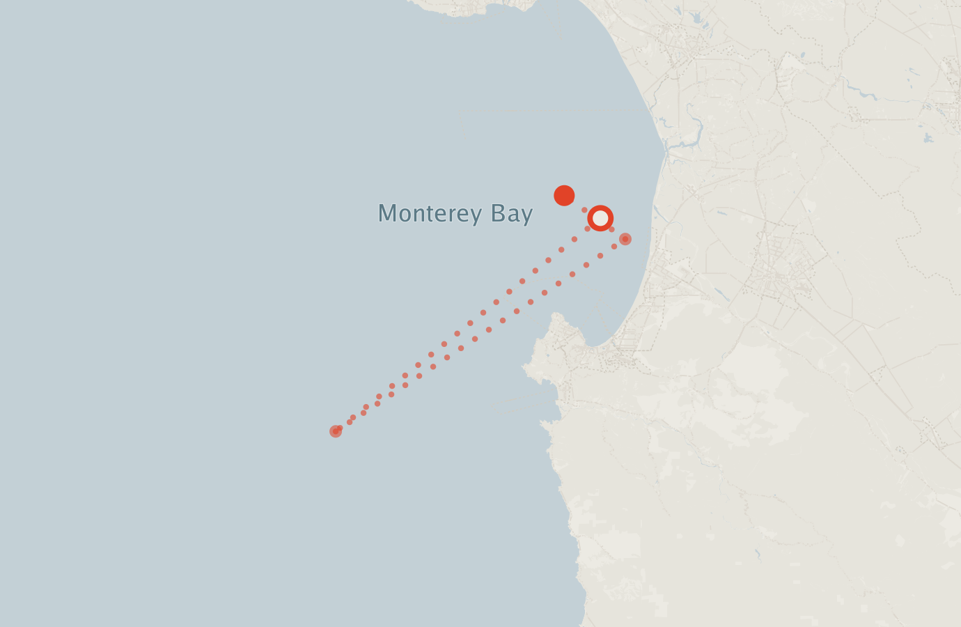 Activity map — real sighting points on an OpenStreetMap basemap