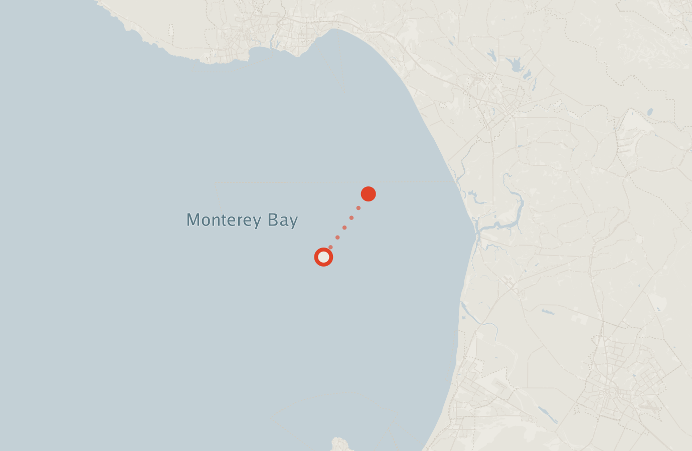 Activity map — real sighting points on an OpenStreetMap basemap
