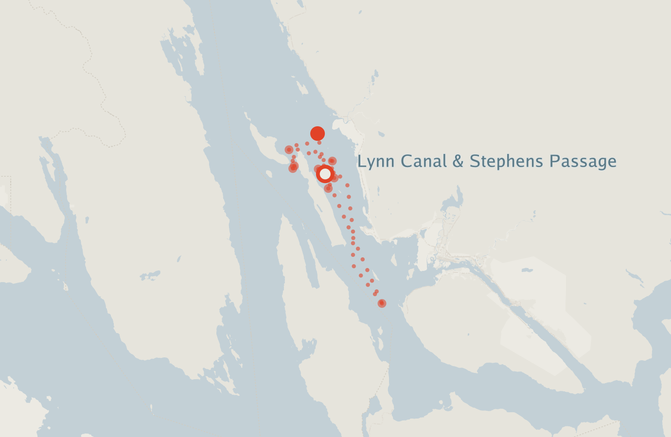 Activity map — real sighting points on an OpenStreetMap basemap
