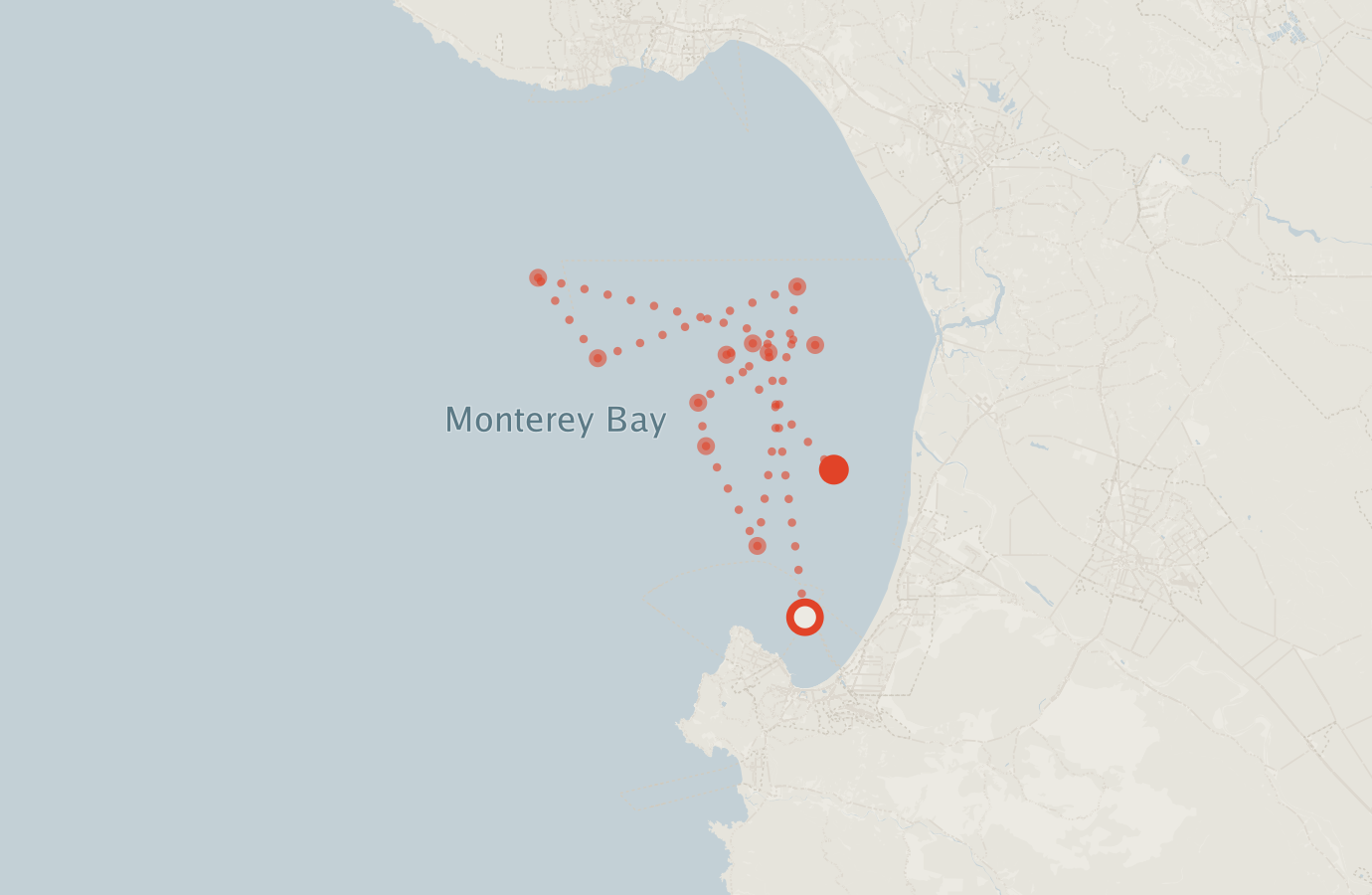 Activity map — real sighting points on an OpenStreetMap basemap