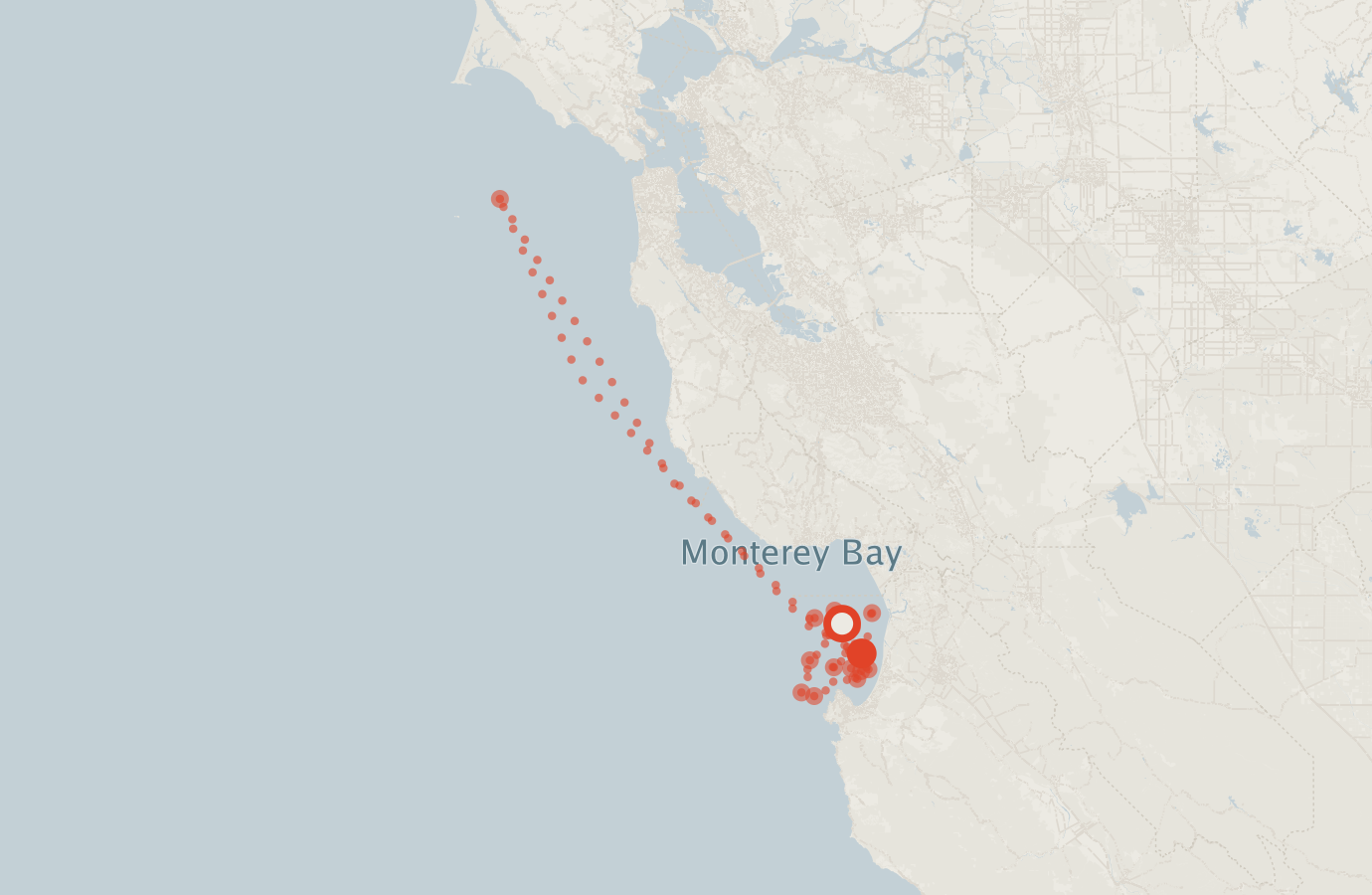 Activity map — real sighting points on an OpenStreetMap basemap