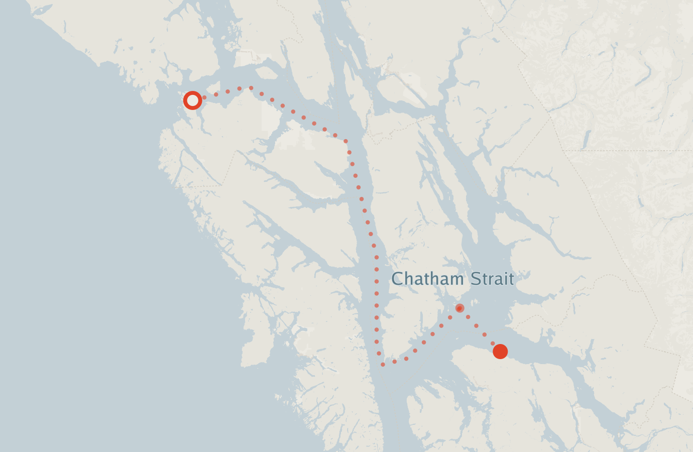 Activity map — real sighting points on an OpenStreetMap basemap