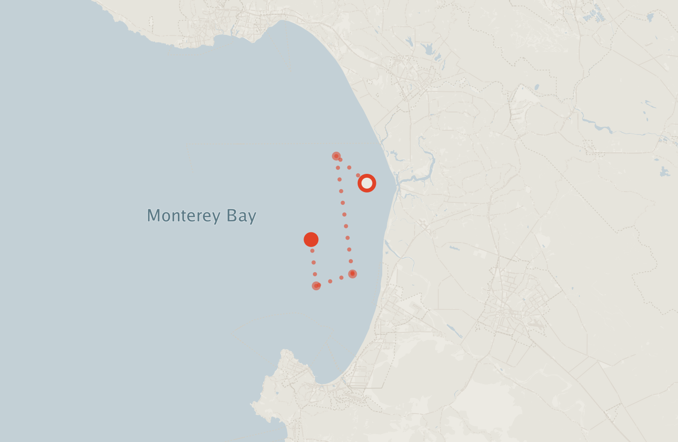 Activity map — real sighting points on an OpenStreetMap basemap
