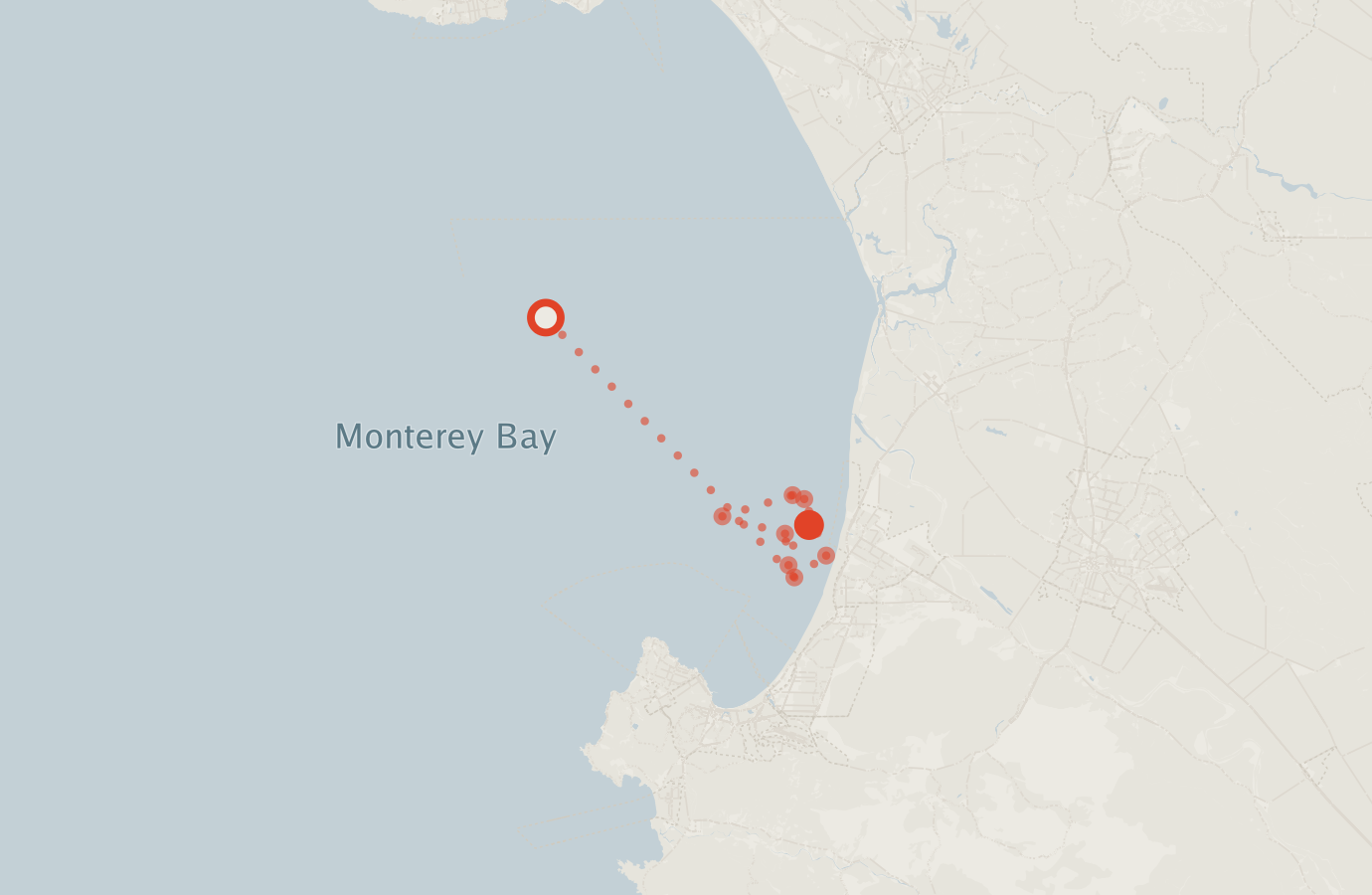 Activity map — real sighting points on an OpenStreetMap basemap