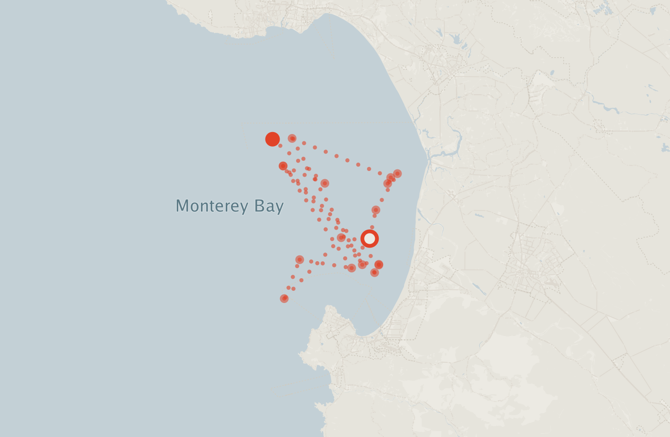 Activity map — real sighting points on an OpenStreetMap basemap
