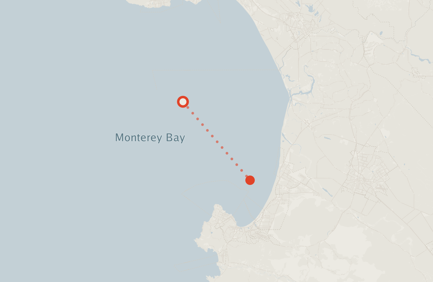 Activity map — real sighting points on an OpenStreetMap basemap