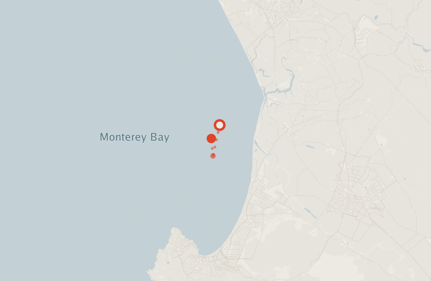 Activity map — real sighting points on an OpenStreetMap basemap