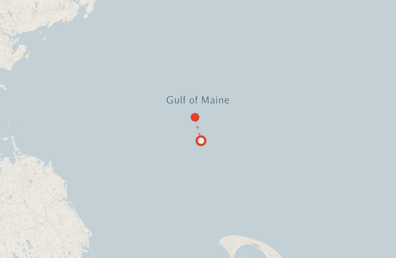 Activity map — real sighting points on an OpenStreetMap basemap