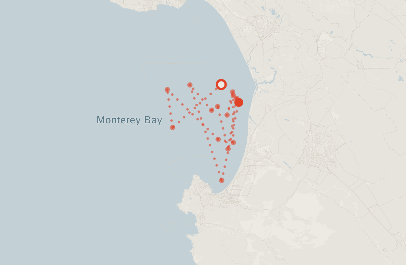 Activity map — real sighting points on an OpenStreetMap basemap