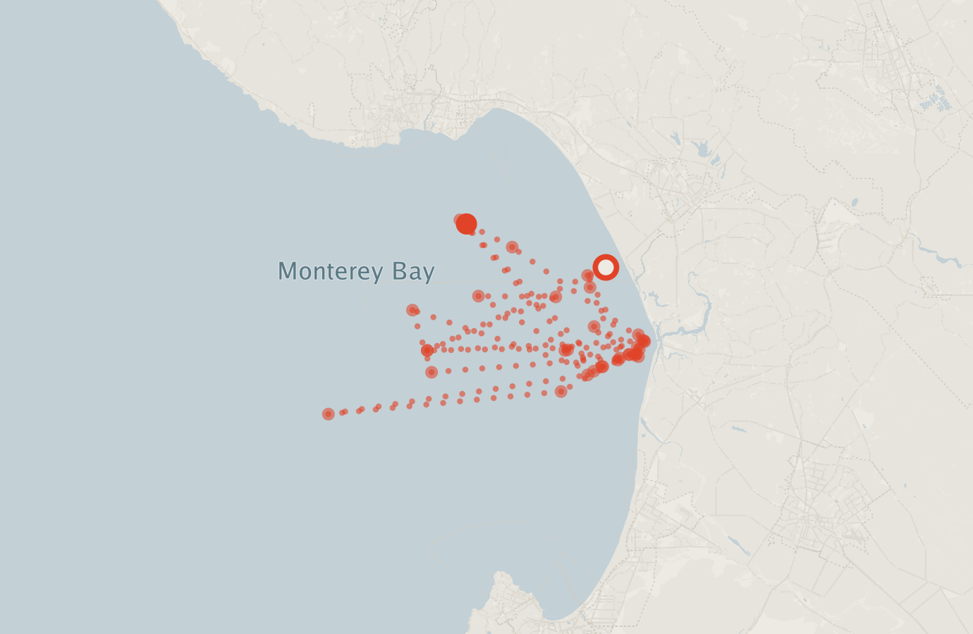Activity map — real sighting points on an OpenStreetMap basemap