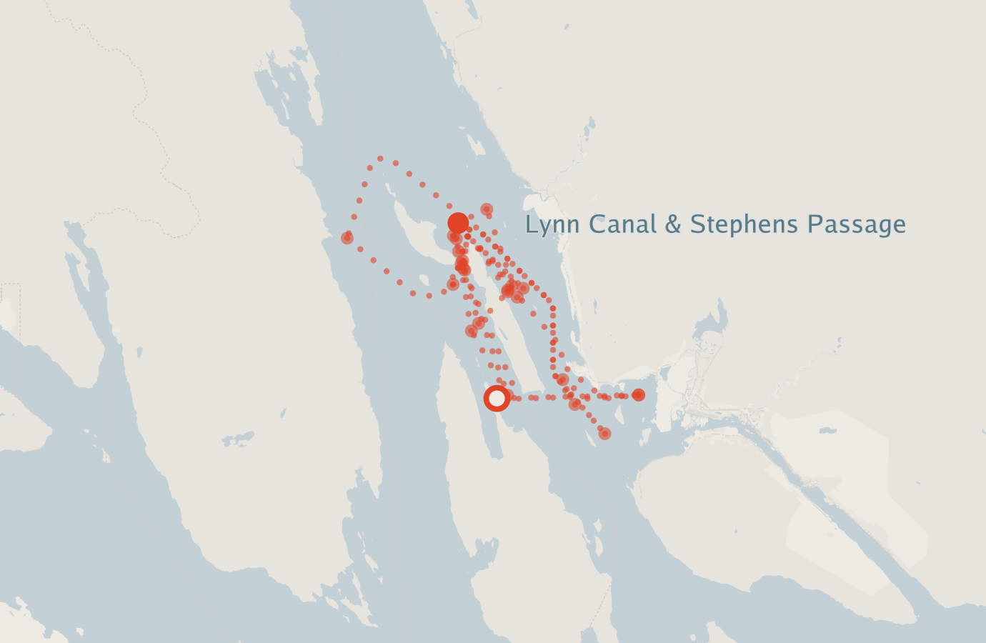 Activity map — real sighting points on an OpenStreetMap basemap