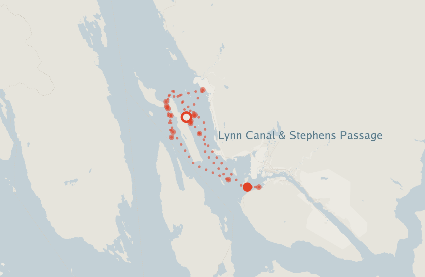 Activity map — real sighting points on an OpenStreetMap basemap