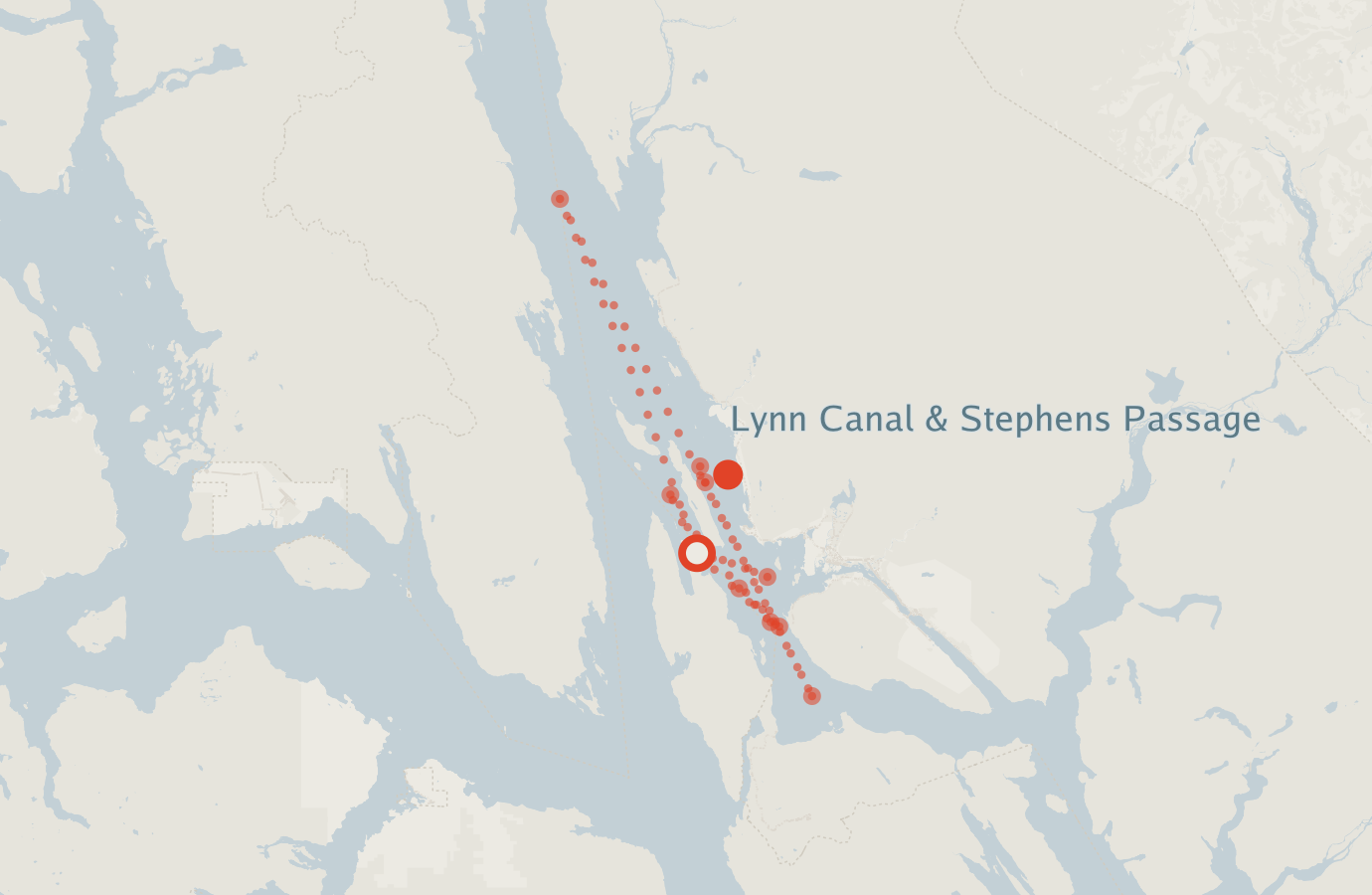 Activity map — real sighting points on an OpenStreetMap basemap