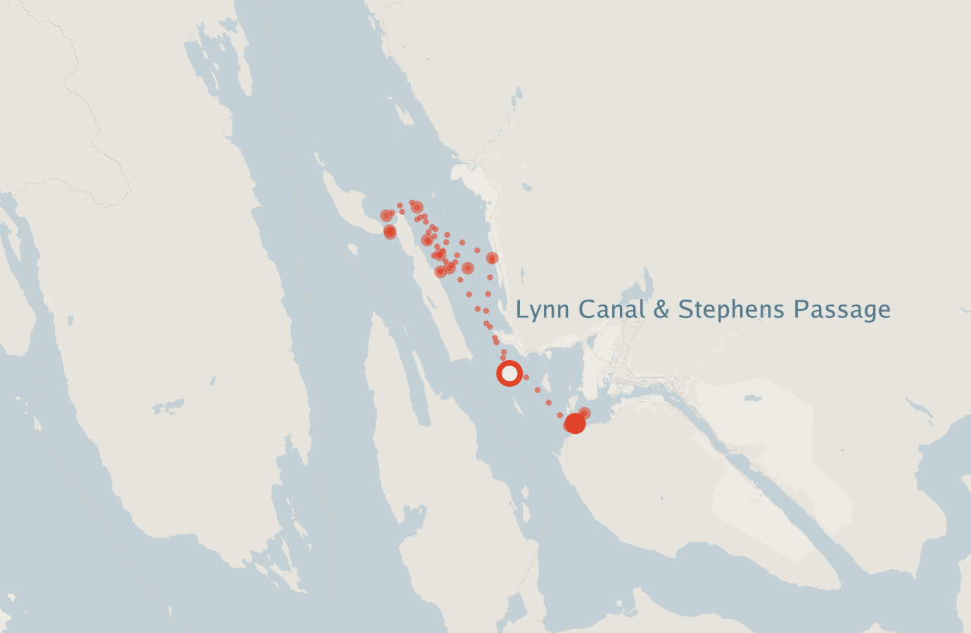 Activity map — real sighting points on an OpenStreetMap basemap