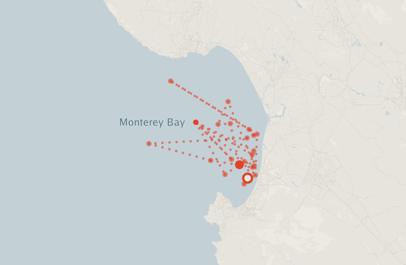Activity map — real sighting points on an OpenStreetMap basemap