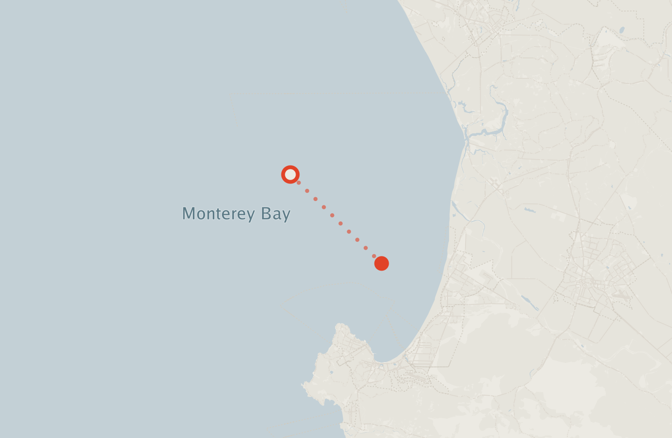 Activity map — real sighting points on an OpenStreetMap basemap