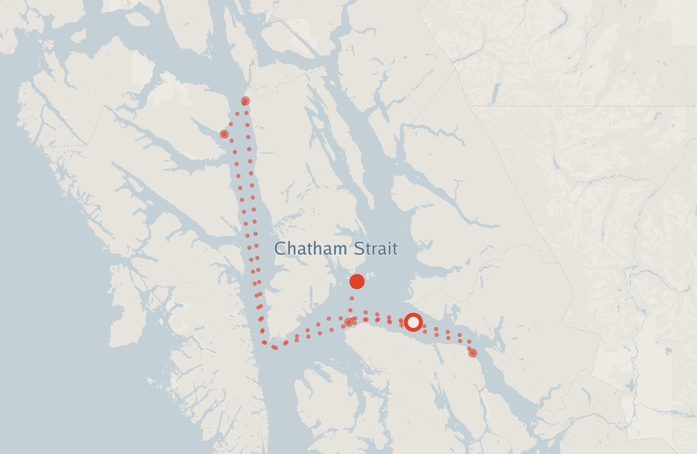 Activity map — real sighting points on an OpenStreetMap basemap