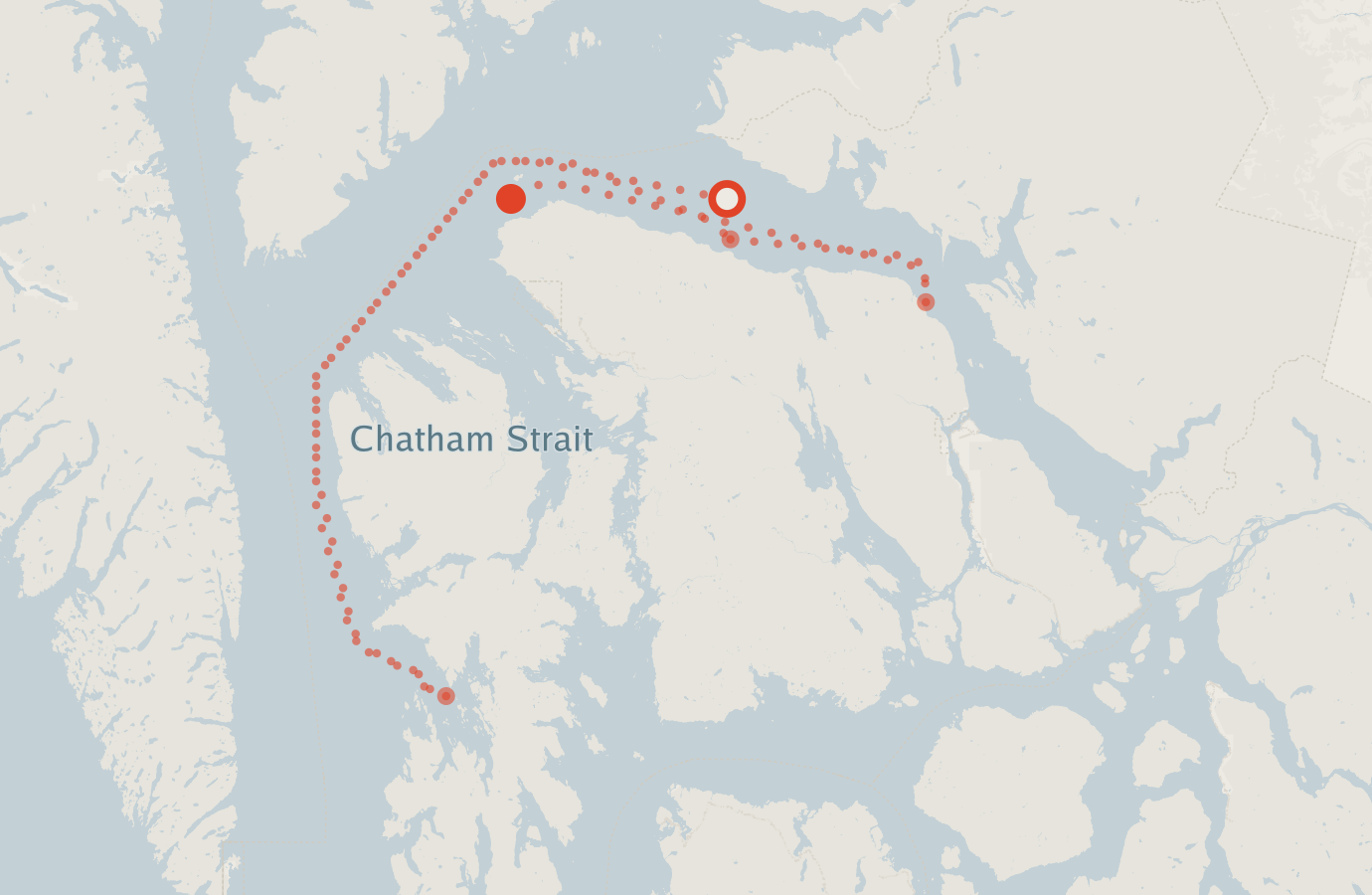 Activity map — real sighting points on an OpenStreetMap basemap