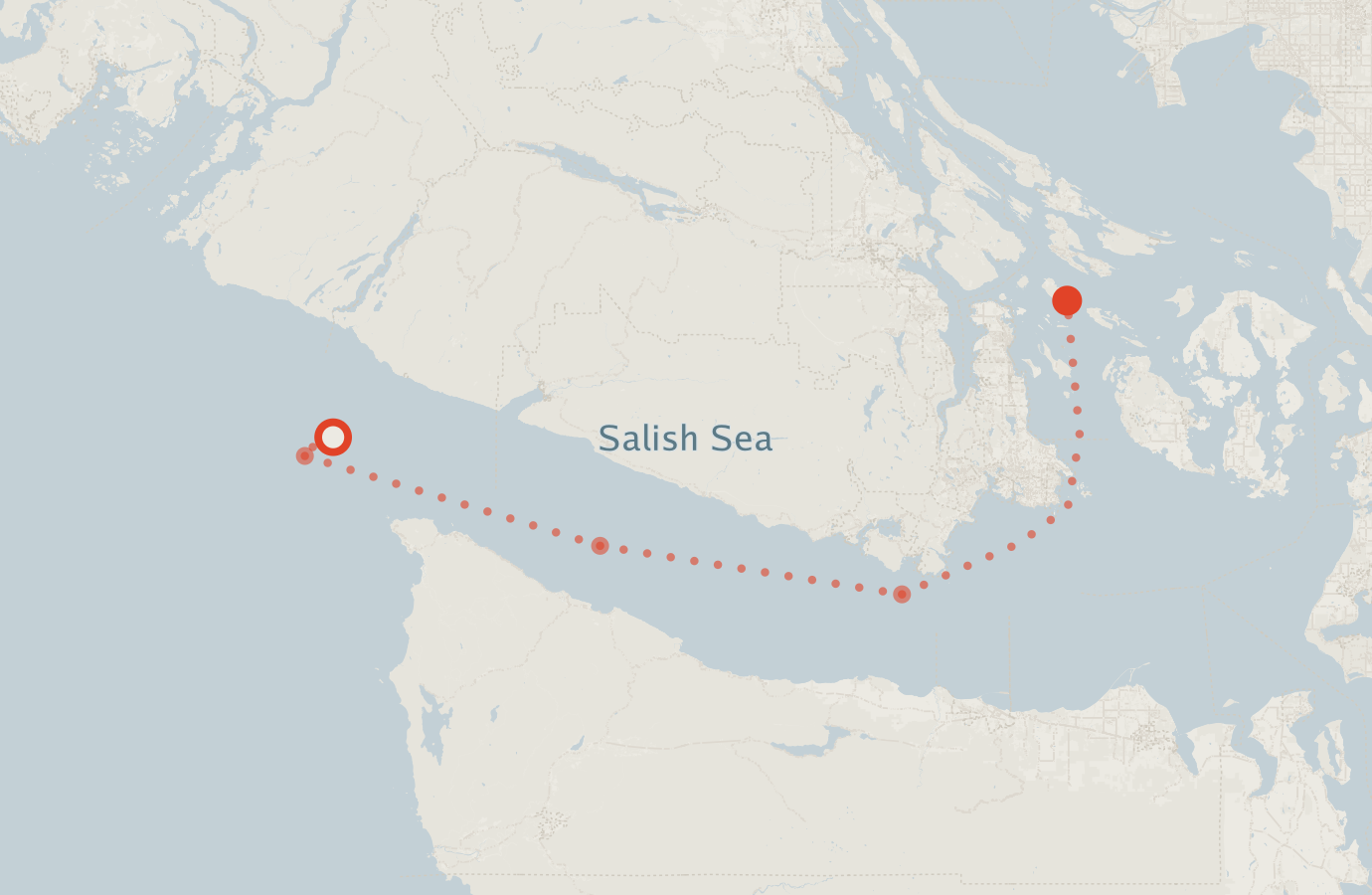 Activity map — real sighting points on an OpenStreetMap basemap