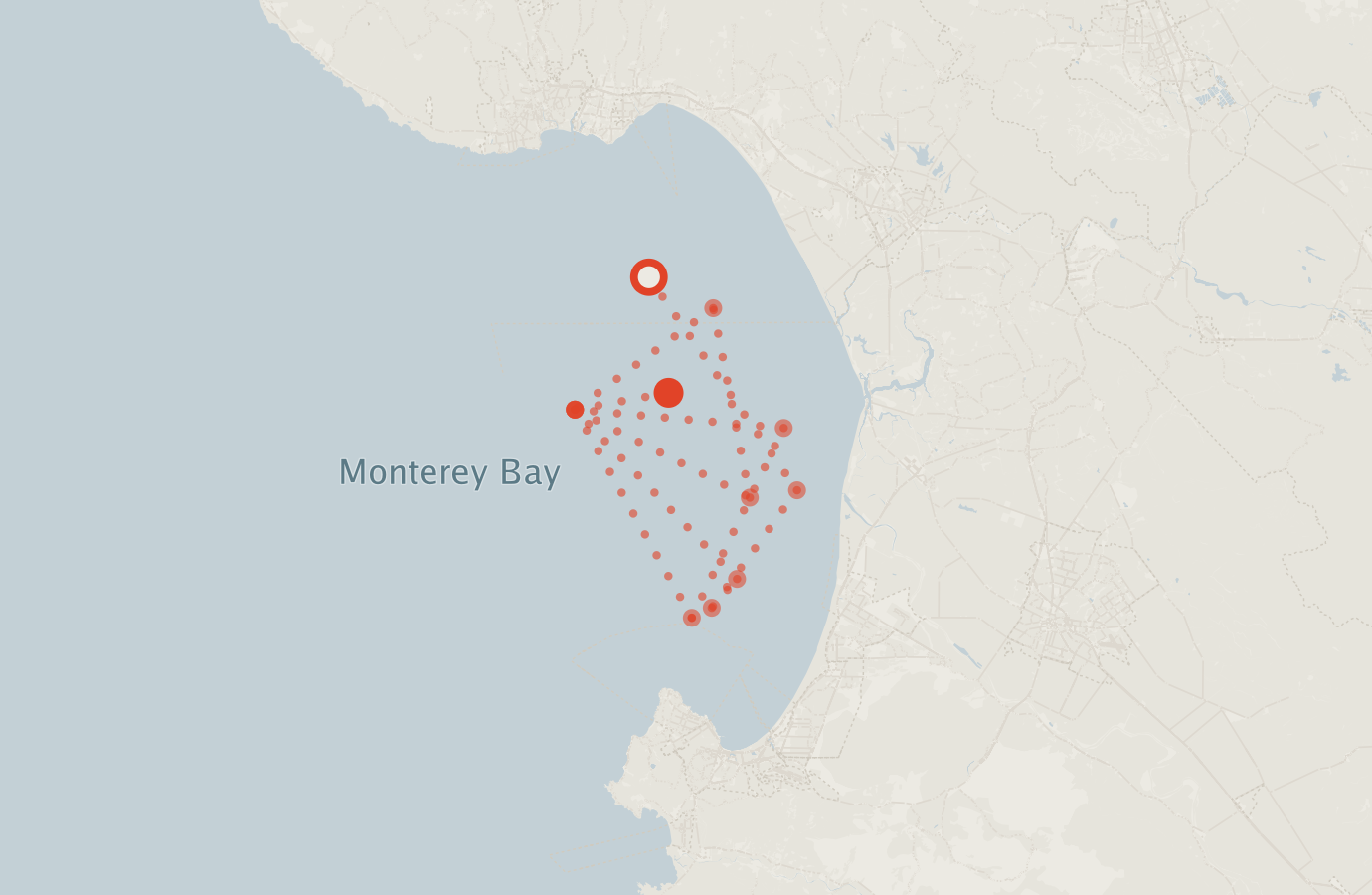 Activity map — real sighting points on an OpenStreetMap basemap