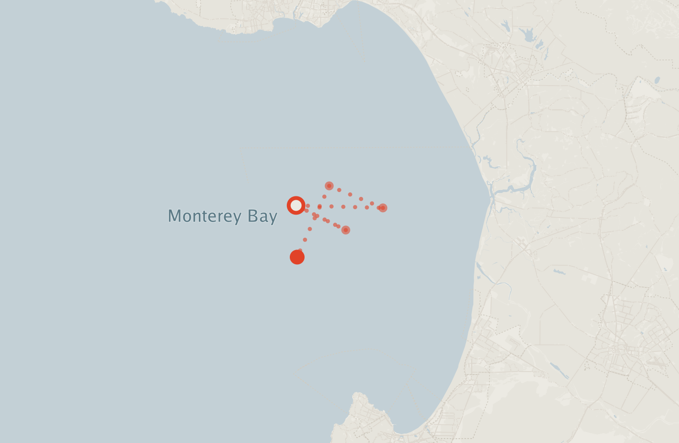 Activity map — real sighting points on an OpenStreetMap basemap