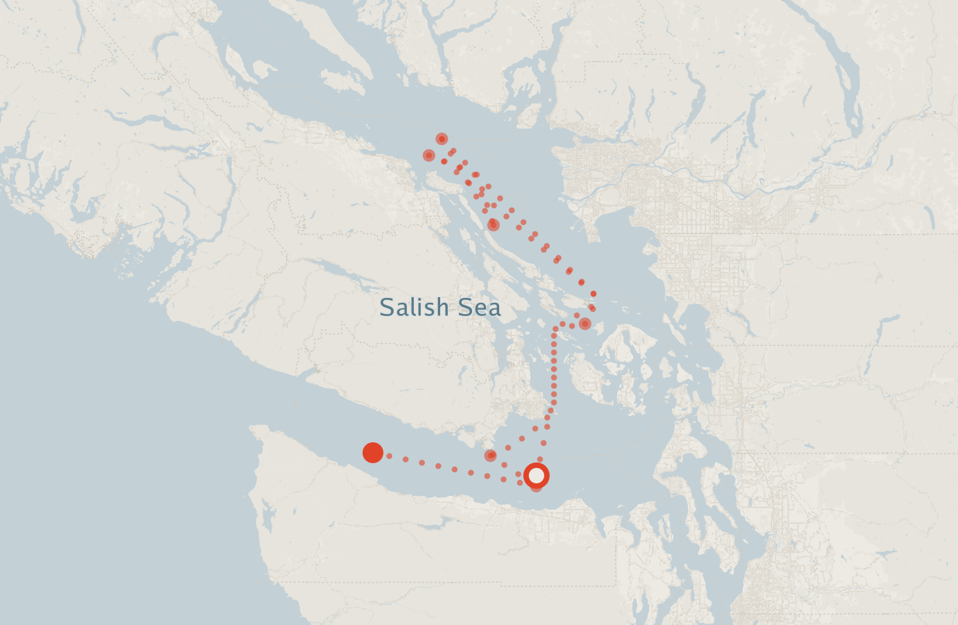 Activity map — real sighting points on an OpenStreetMap basemap