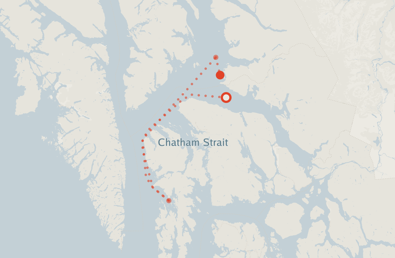 Activity map — real sighting points on an OpenStreetMap basemap