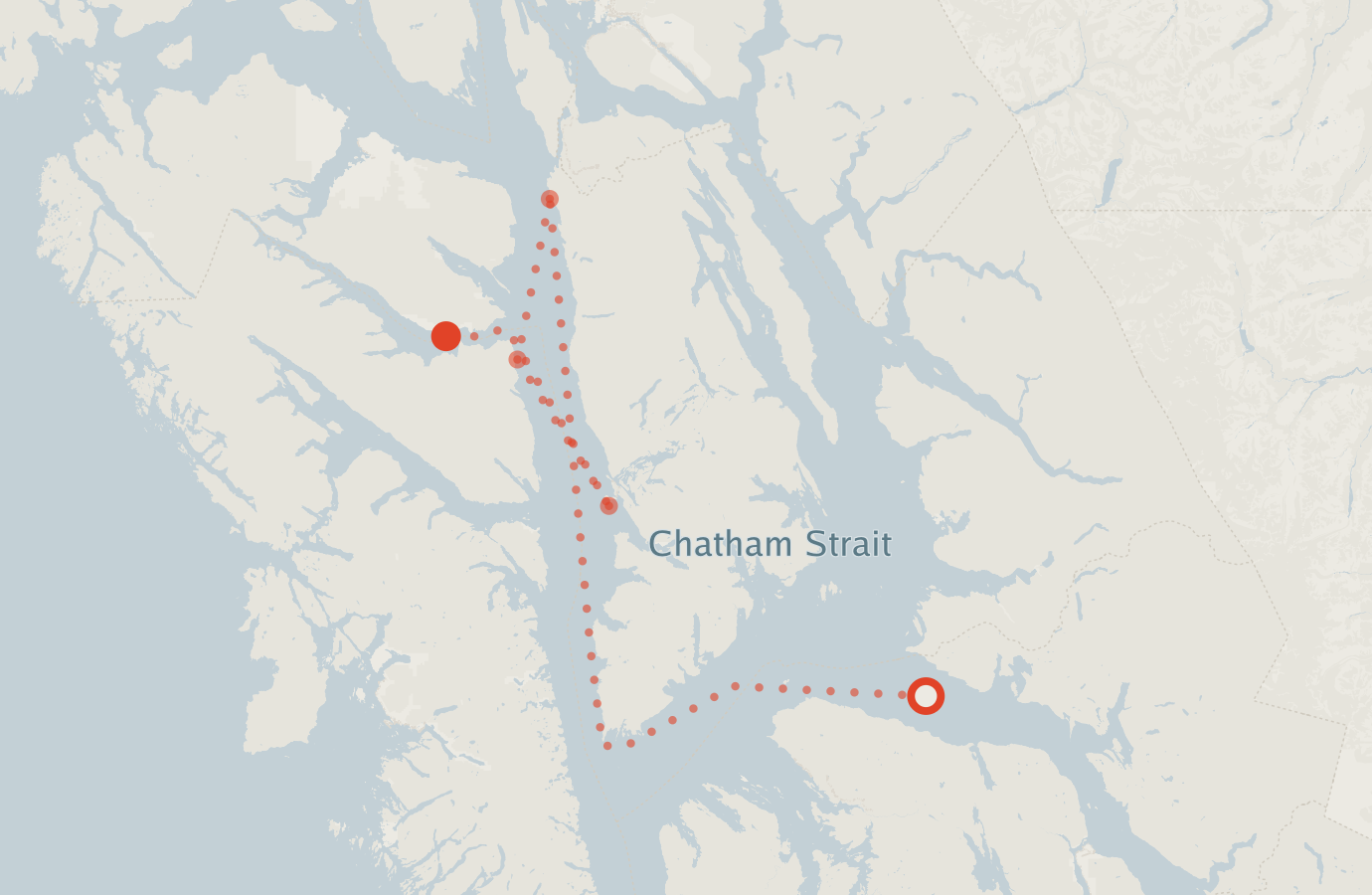 Activity map — real sighting points on an OpenStreetMap basemap