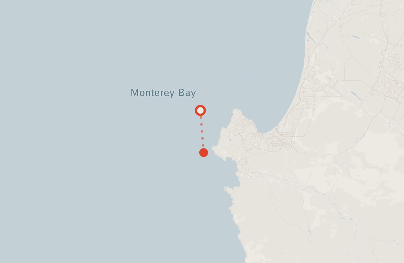 Activity map — real sighting points on an OpenStreetMap basemap