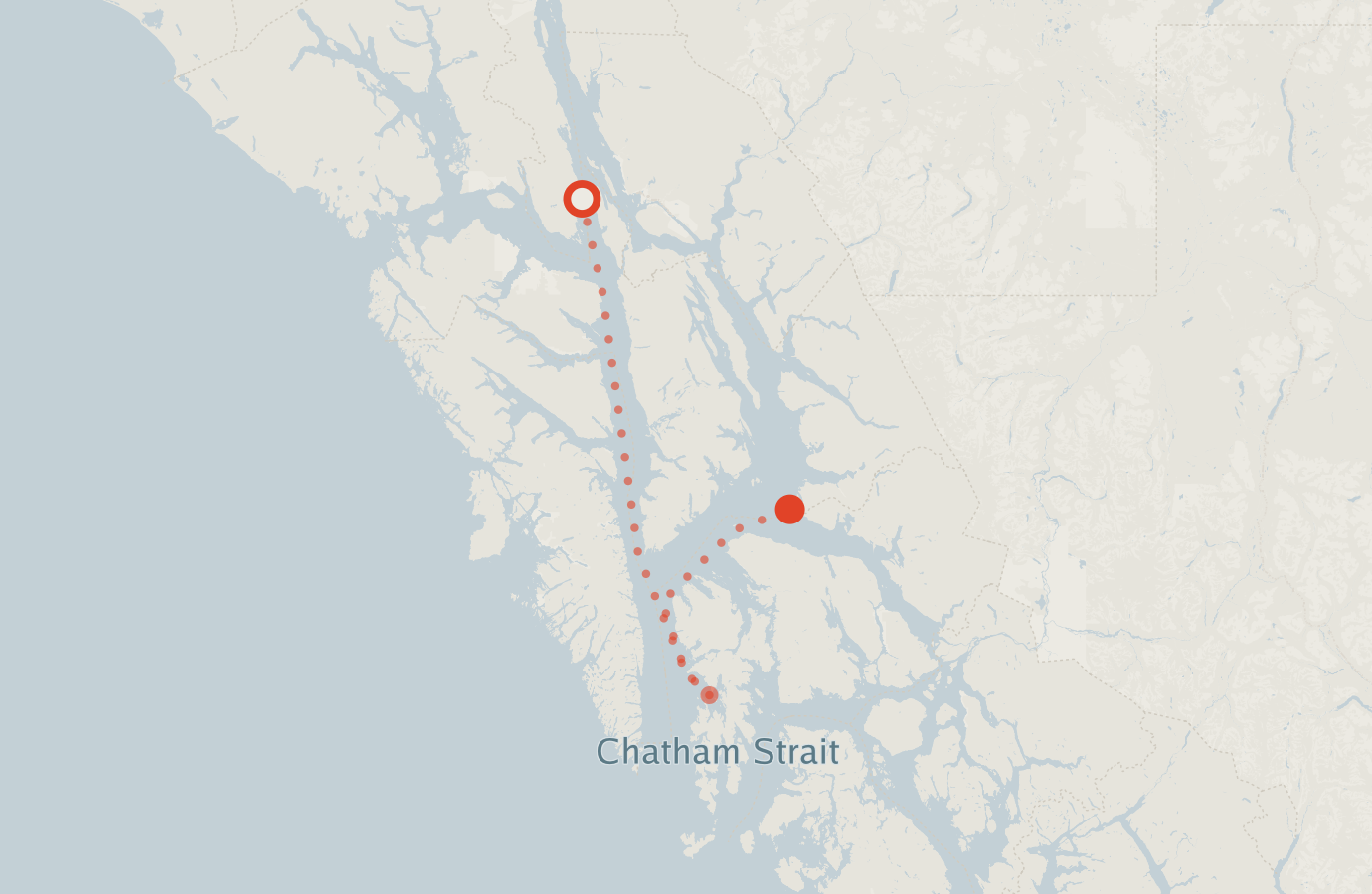 Activity map — real sighting points on an OpenStreetMap basemap