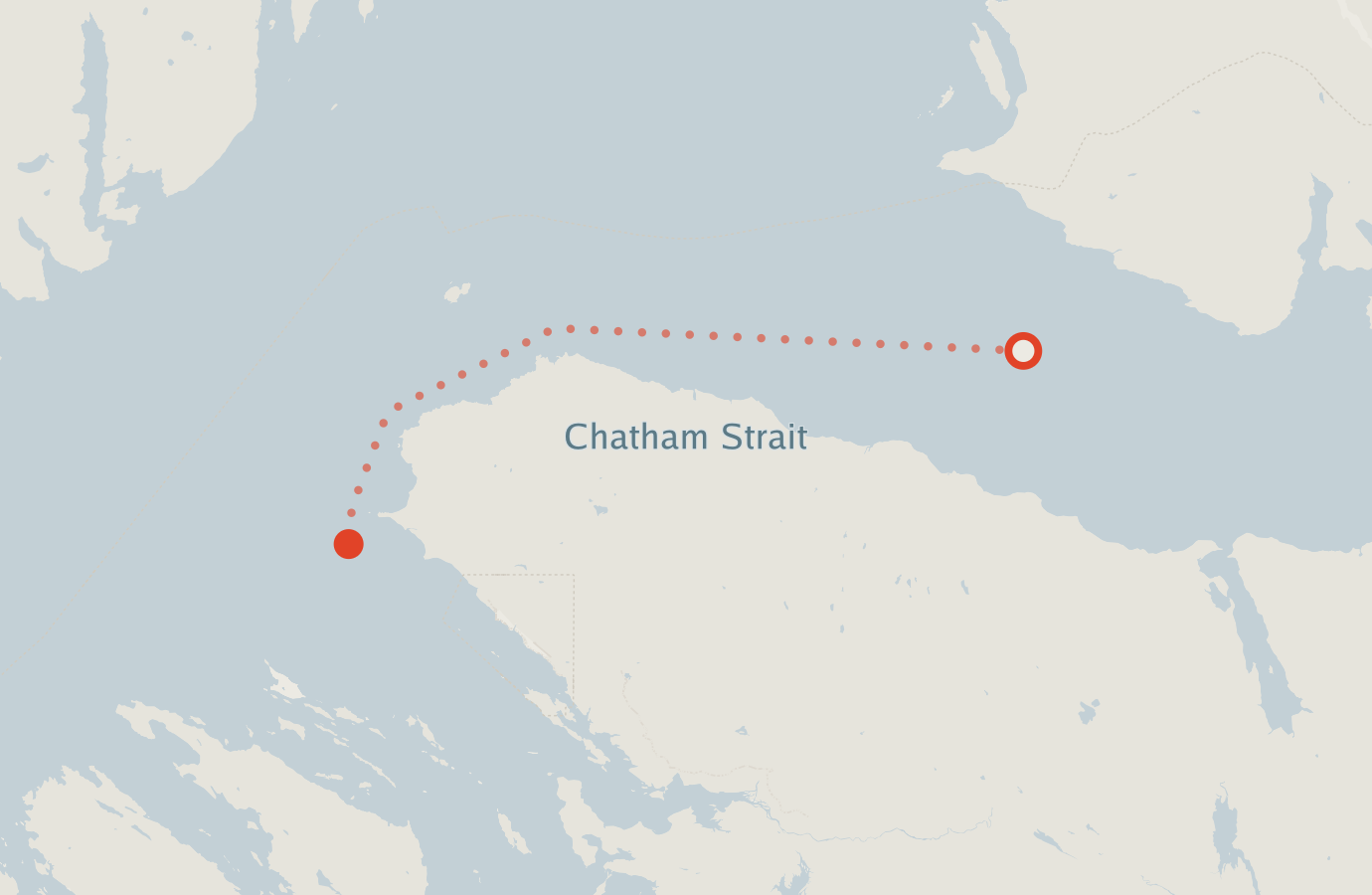 Activity map — real sighting points on an OpenStreetMap basemap