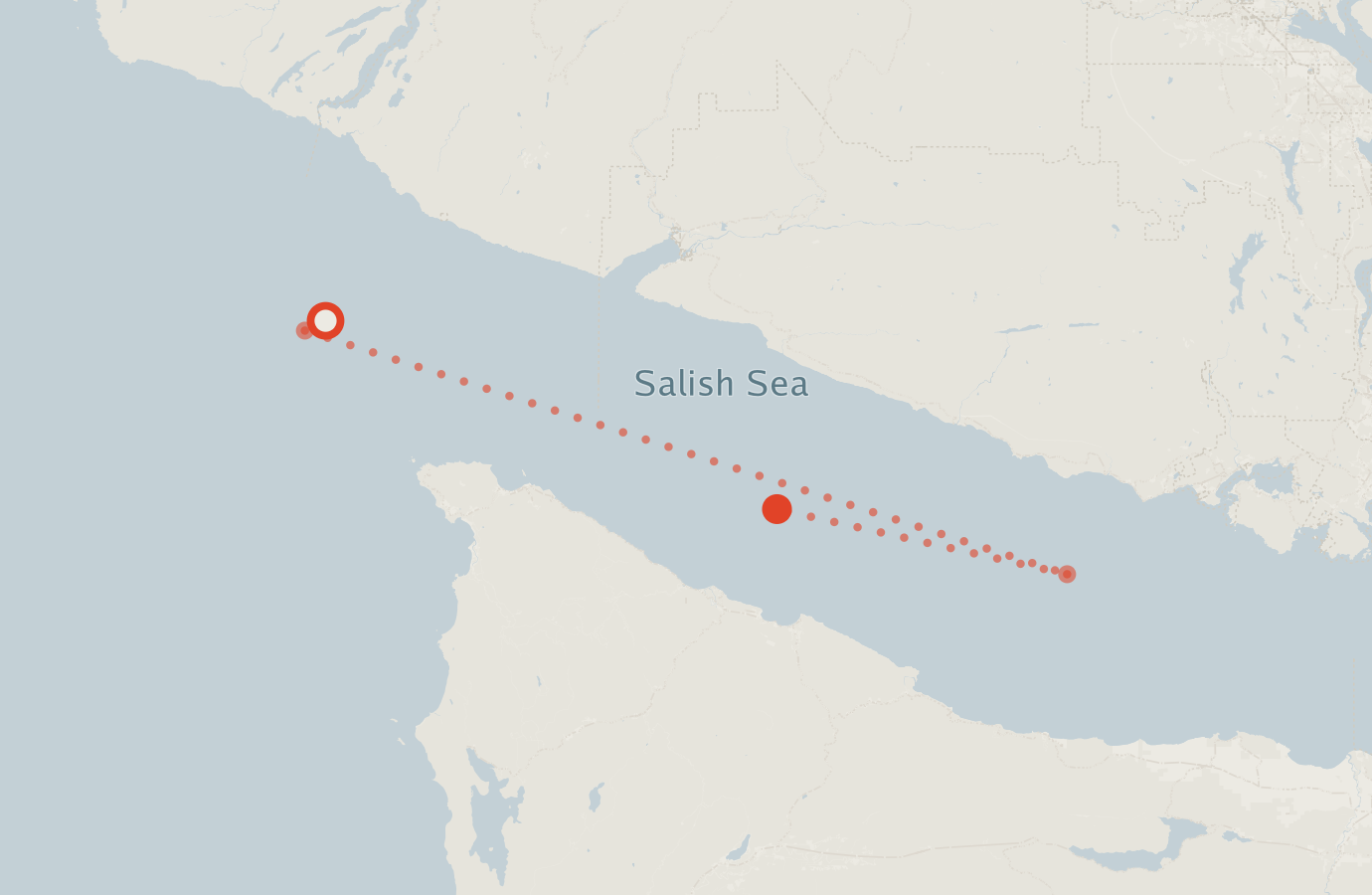 Activity map — real sighting points on an OpenStreetMap basemap