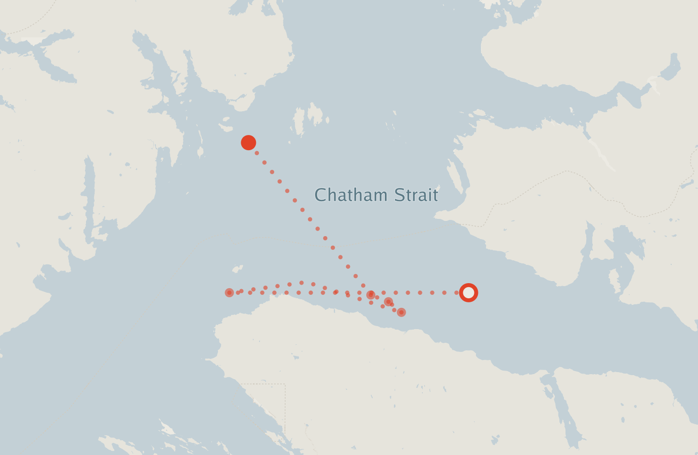 Activity map — real sighting points on an OpenStreetMap basemap
