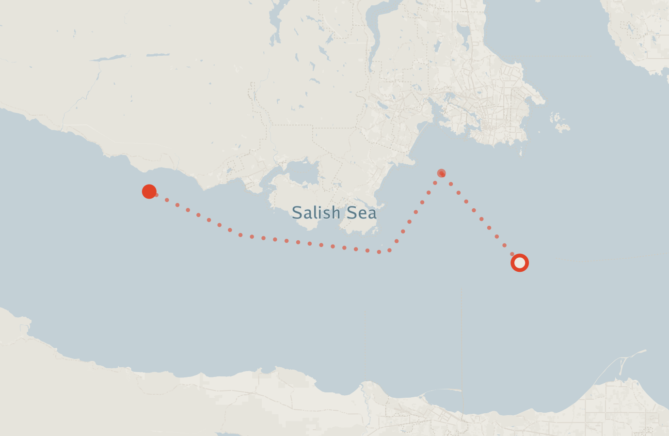 Activity map — real sighting points on an OpenStreetMap basemap