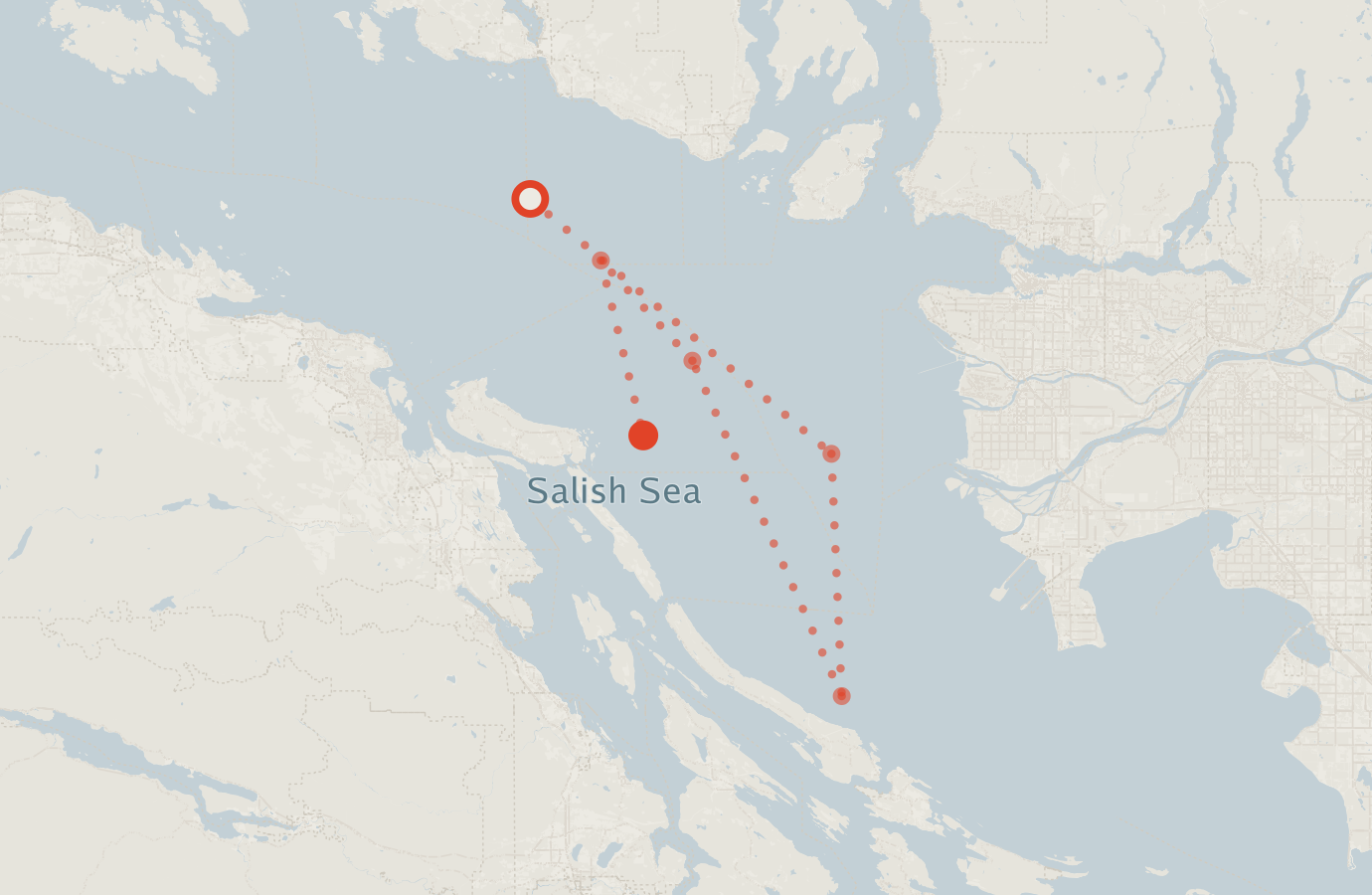 Activity map — real sighting points on an OpenStreetMap basemap