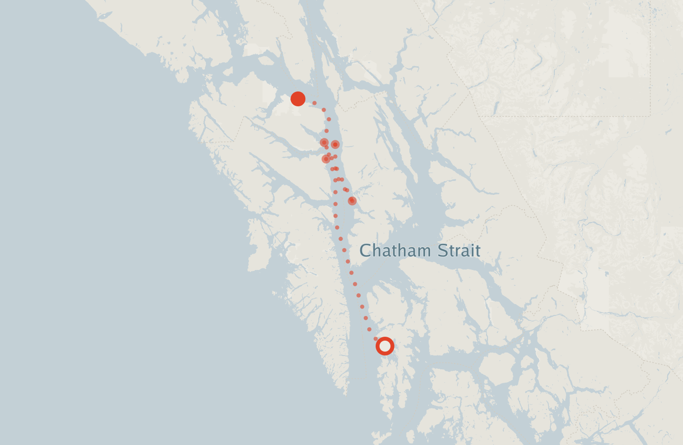 Activity map — real sighting points on an OpenStreetMap basemap
