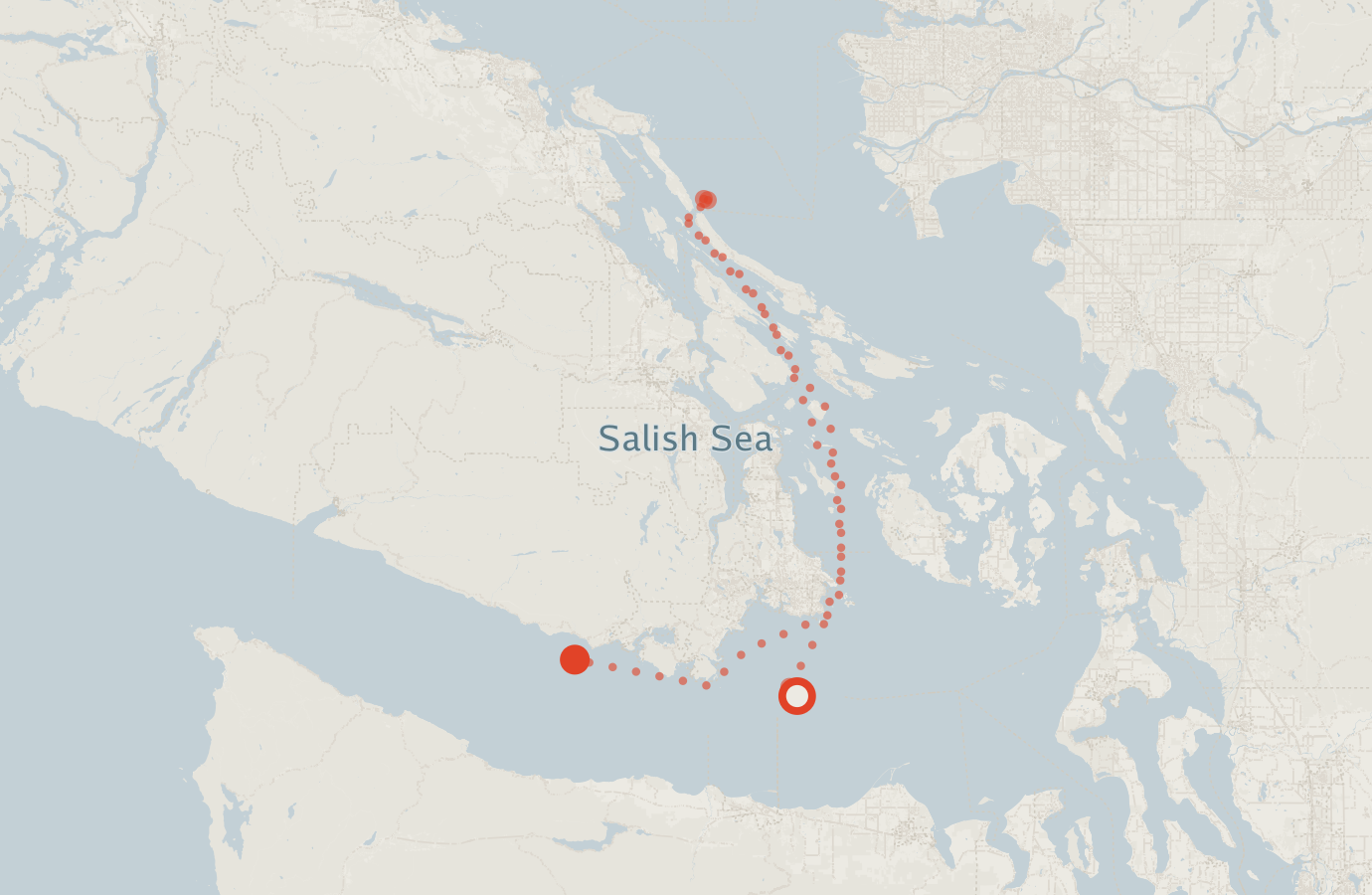 Activity map — real sighting points on an OpenStreetMap basemap