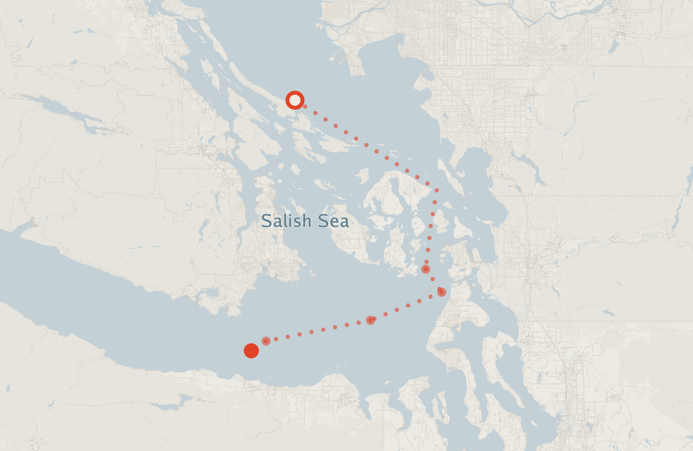 Activity map — real sighting points on an OpenStreetMap basemap