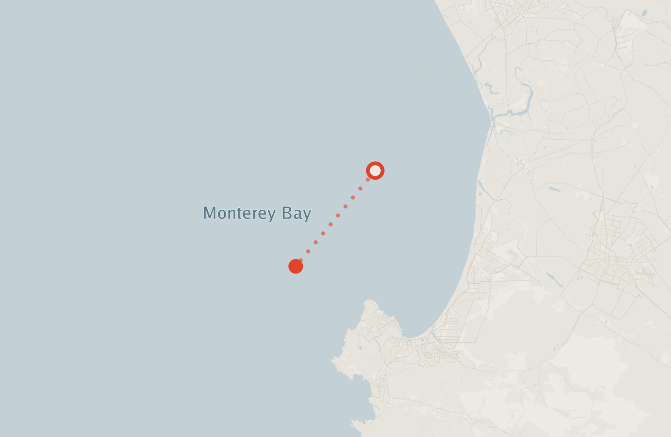 Activity map — real sighting points on an OpenStreetMap basemap