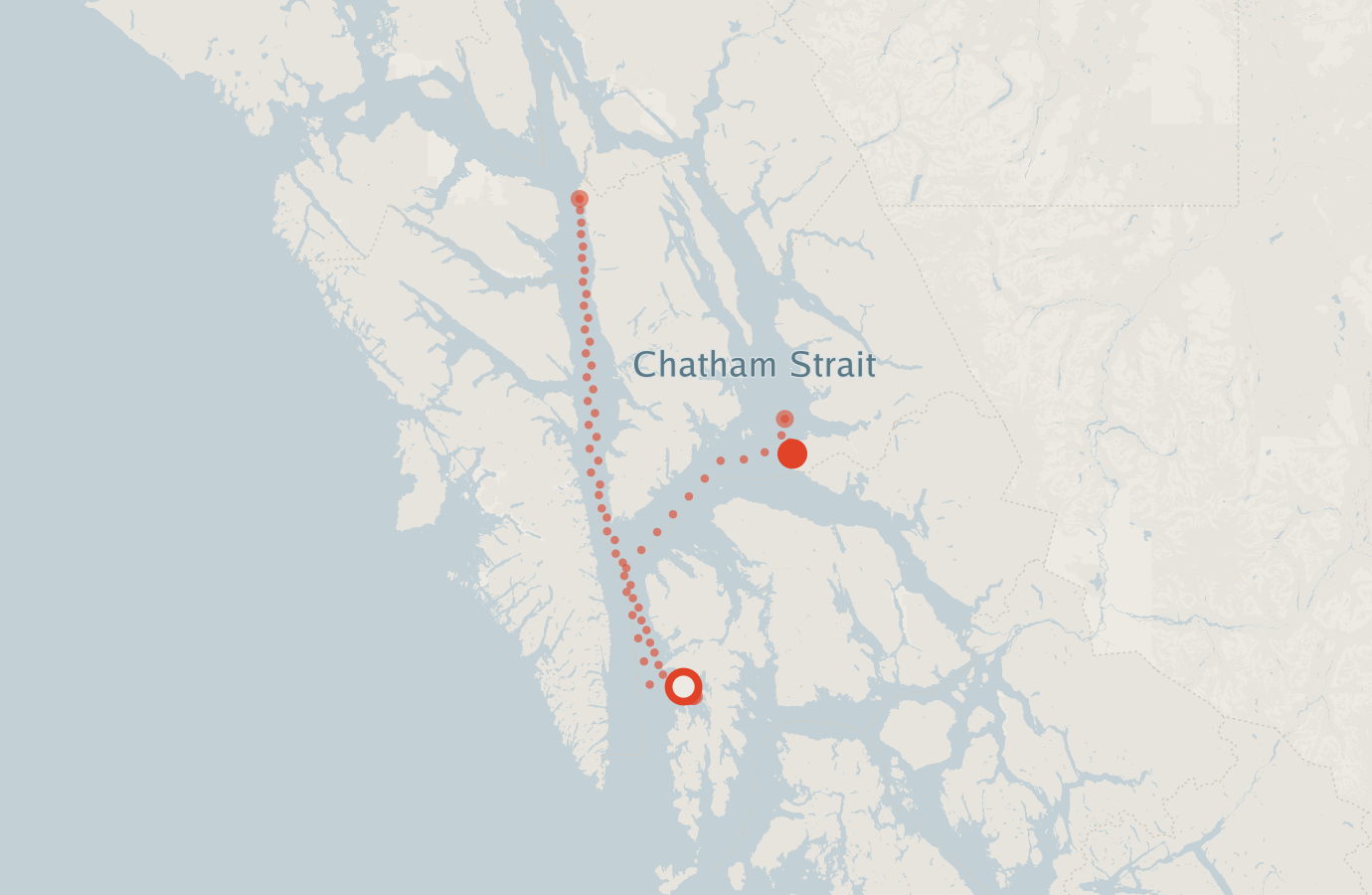 Activity map — real sighting points on an OpenStreetMap basemap