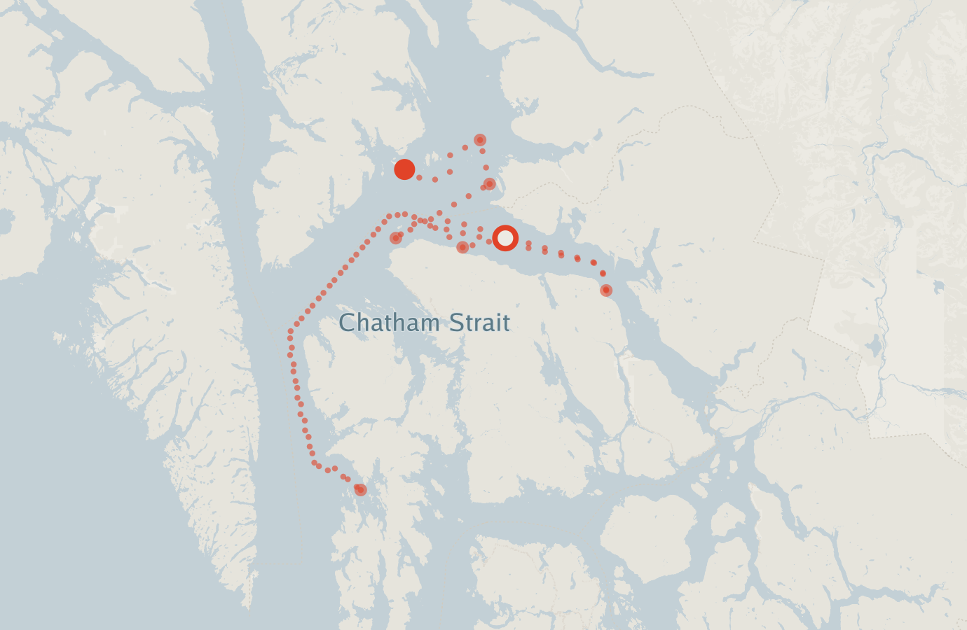 Activity map — real sighting points on an OpenStreetMap basemap