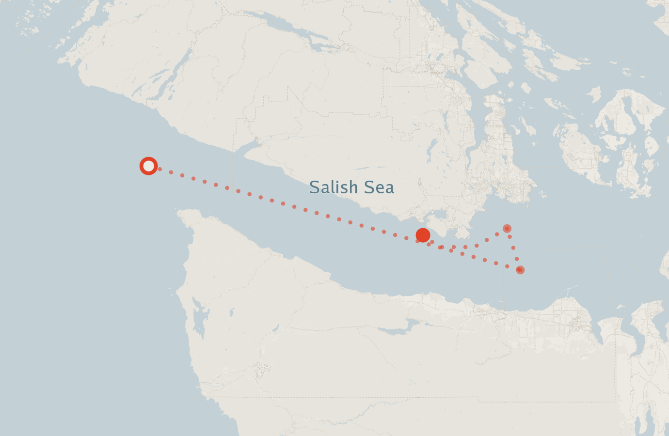 Activity map — real sighting points on an OpenStreetMap basemap